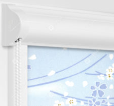 Рулонные кассетные шторы УНИ - Сакура голубой